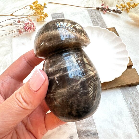 Gorgeous Black Moonstone Mushroom Carving - Picture 7 of 8